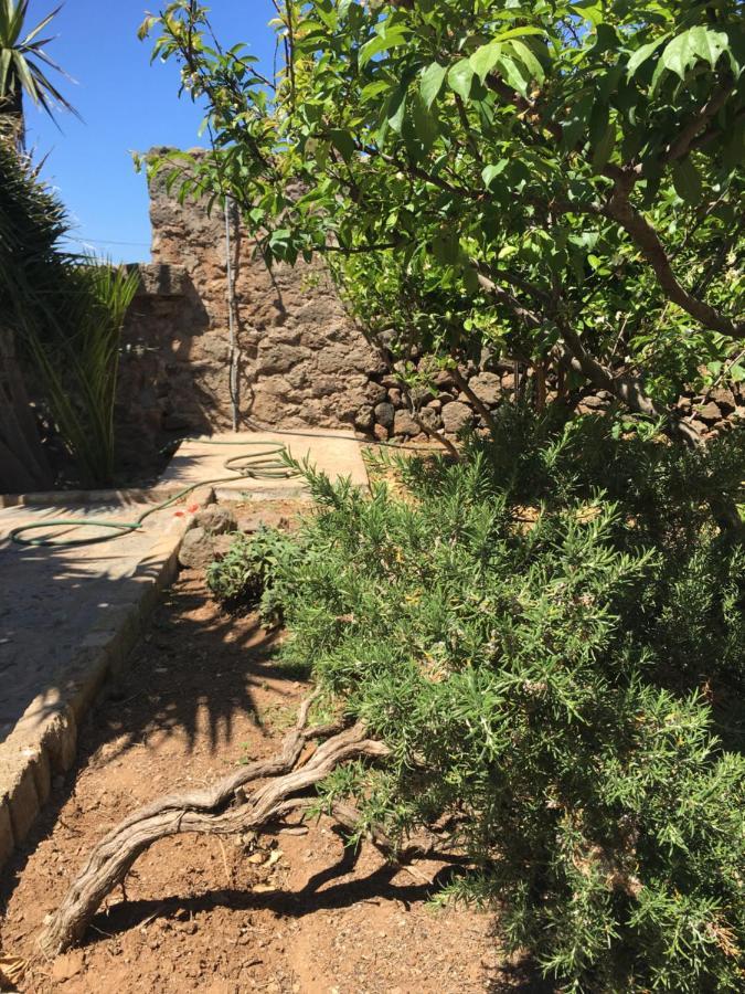 بانتيليريا Cactus B&B Le Casette Di Marilena المظهر الخارجي الصورة